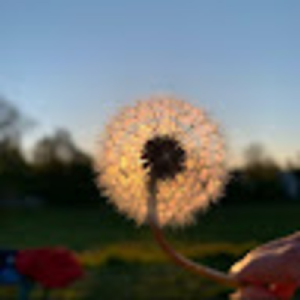 Meet your Posher, Ryleigh